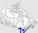 Carte Canada vierge départements