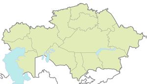 Carte Kazakhstan vierge couleur