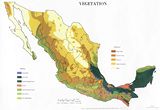 Carte végétation Mexique
