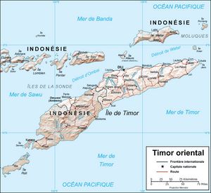 Carte relief Timor